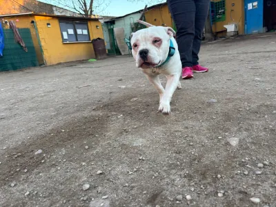 Otra foto de Darko
