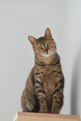 Otra foto de Selene