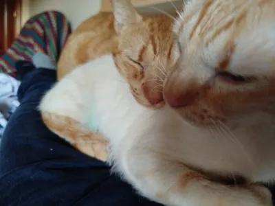 Otra foto de Bastián