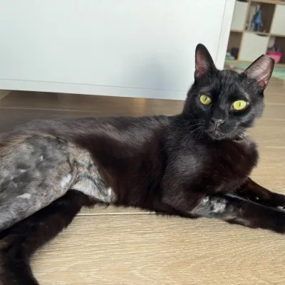 Otra foto de Romeo