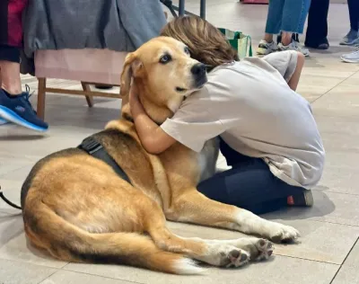 Otra foto de Lobito