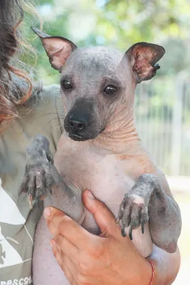 Otra foto de Petete