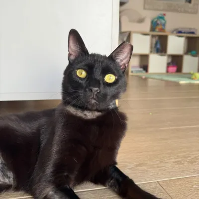 Otra foto de Romeo