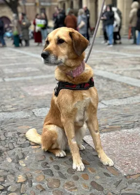 Otra foto de Dora