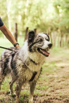 Otra foto de Ares