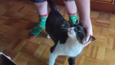 Otra foto de Sirius