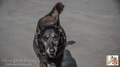 Otra foto de Mali