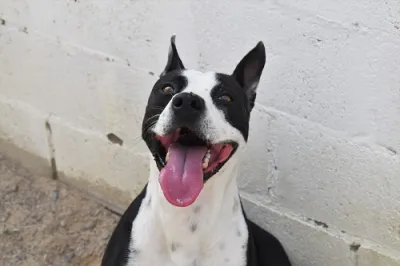 Otra foto de Pirulí