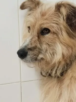 Otra foto de Draco