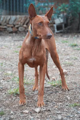 Otra foto de Biel