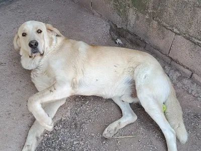 Otra foto de Thor