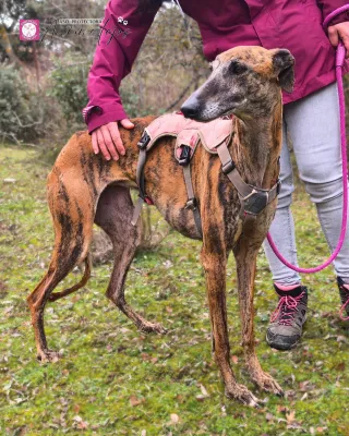 Otra foto de Cora