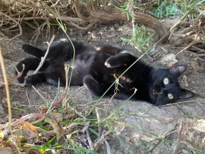 Otra foto de Yen