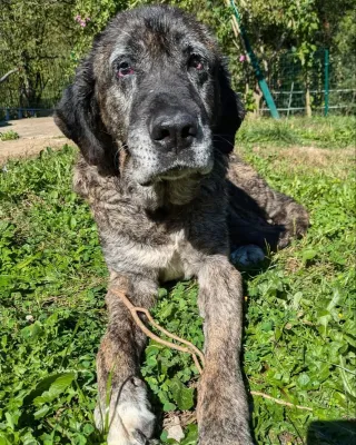 Otra foto de Adriel