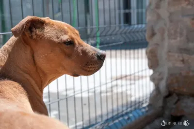 Otra foto de Sky