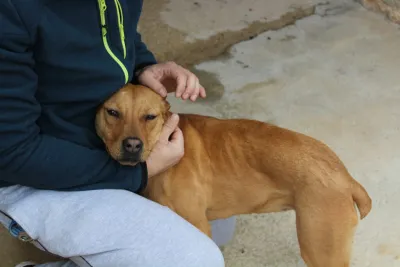 Otra foto de Sky