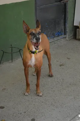 Otra foto de Chencho