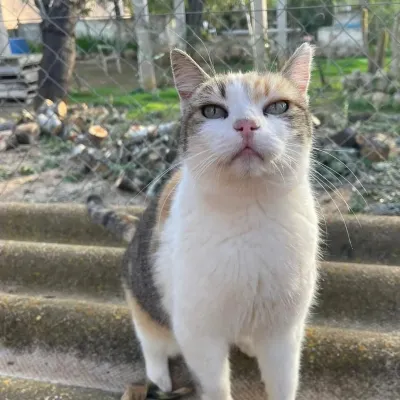 Otra foto de Vipy