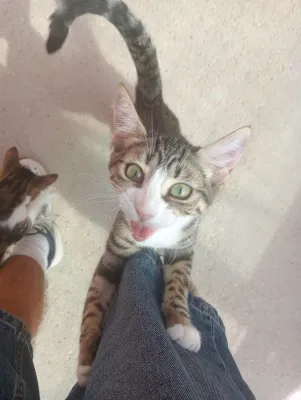 Otra foto de Alubia