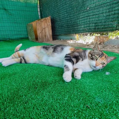 Otra foto de Dora