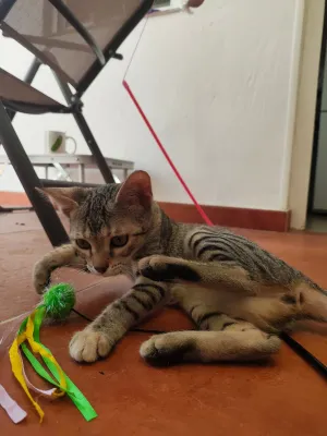 Burbuja, foto 6 de 6