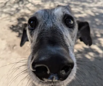 Otra foto de Cloe