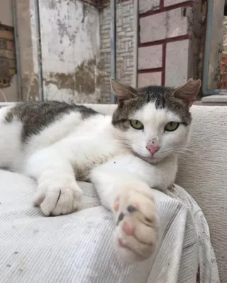 Otra foto de Julieta