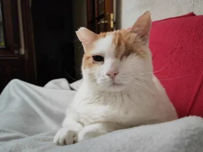 Otra foto de Angelito