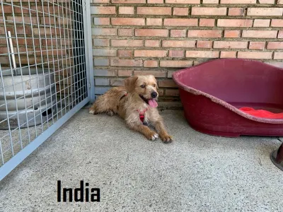 Otra foto de India