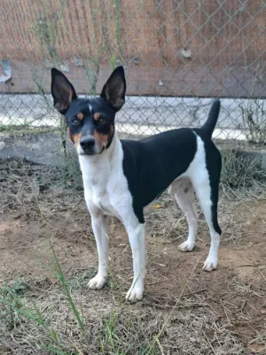 Otra foto de Lolito