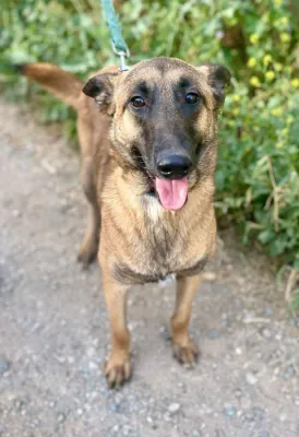 Otra foto de Olga