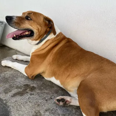 Otra foto de Frankie
