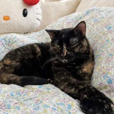 Otra foto de Mia