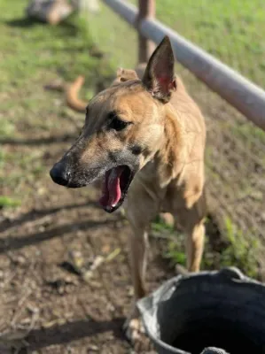 Otra foto de Apolo