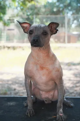 Otra foto de Petete
