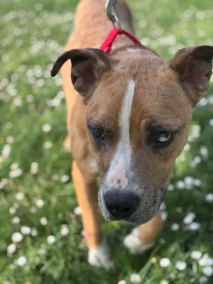 Otra foto de Ares
