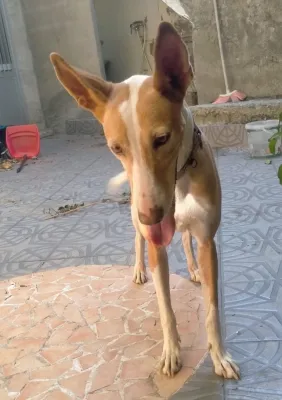 Otra foto de Duna
