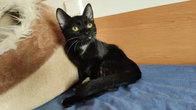 Otra foto de Calíope