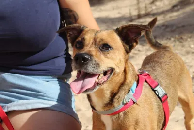 Otra foto de Lucky