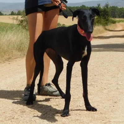 Otra foto de Zaniah
