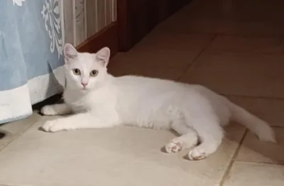 Otra foto de Ágata