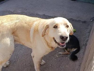 Otra foto de Thor