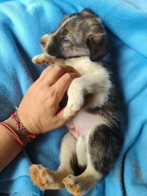 ZEFF, foto 5 de 6
