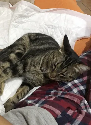 Otra foto de Kalinda
