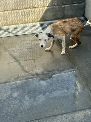 Otra foto de Lupita