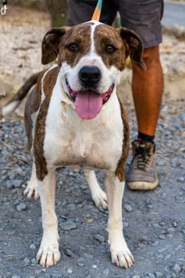 Otra foto de Zeus