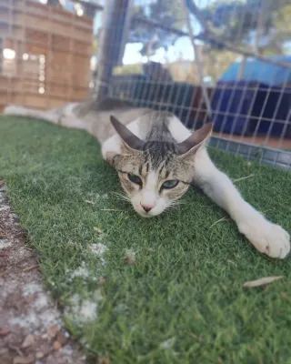 Otra foto de Real