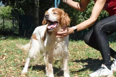 Otra foto de Kay