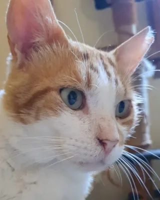 Otra foto de Danet