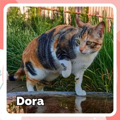 Otra foto de Dora